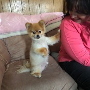 Meet your Posher, Carla